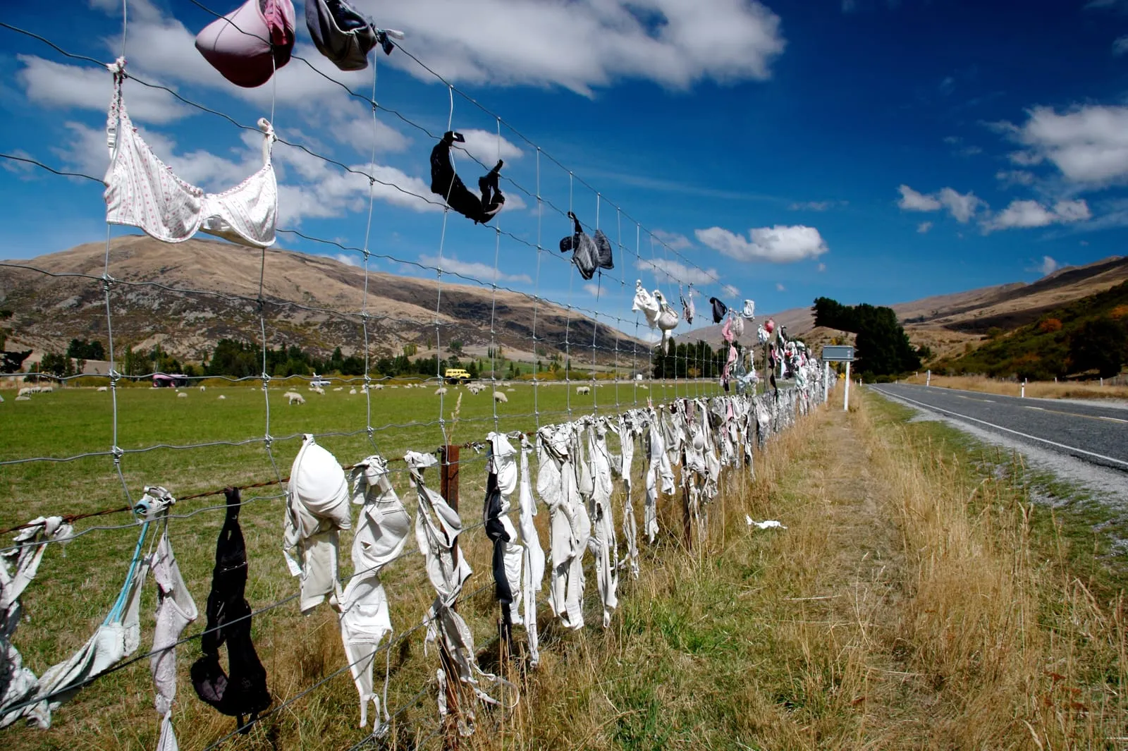 Fence of Bras, on the road to Queenstown, NZ