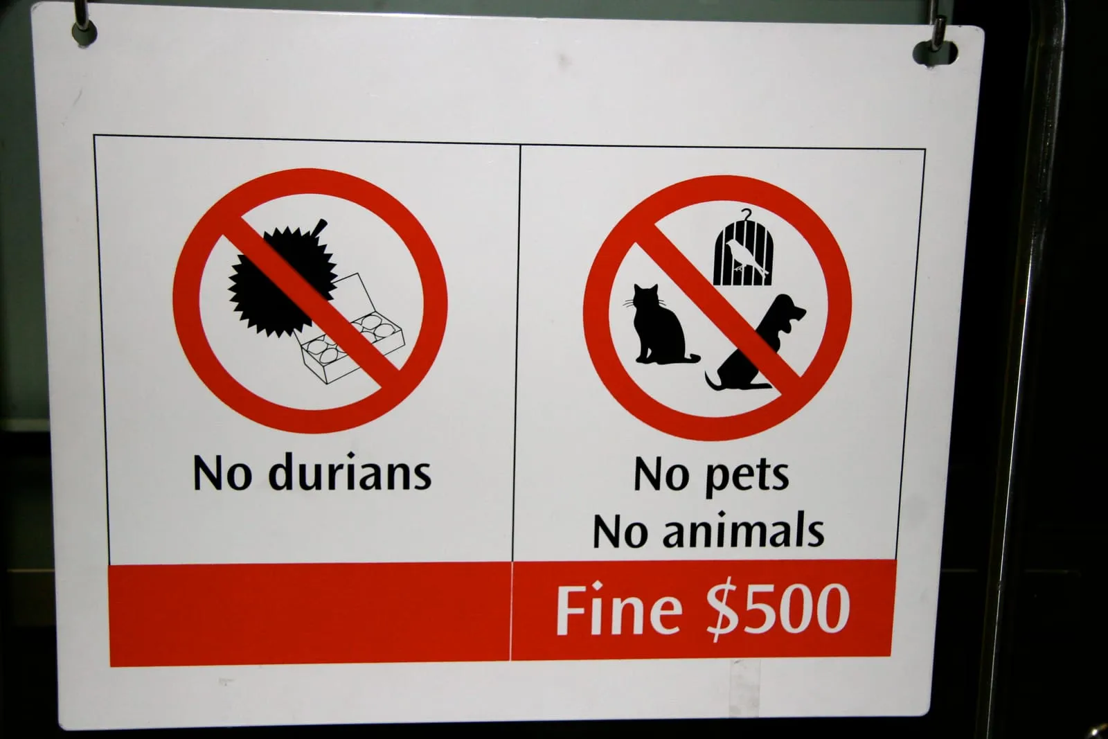 No Durians!