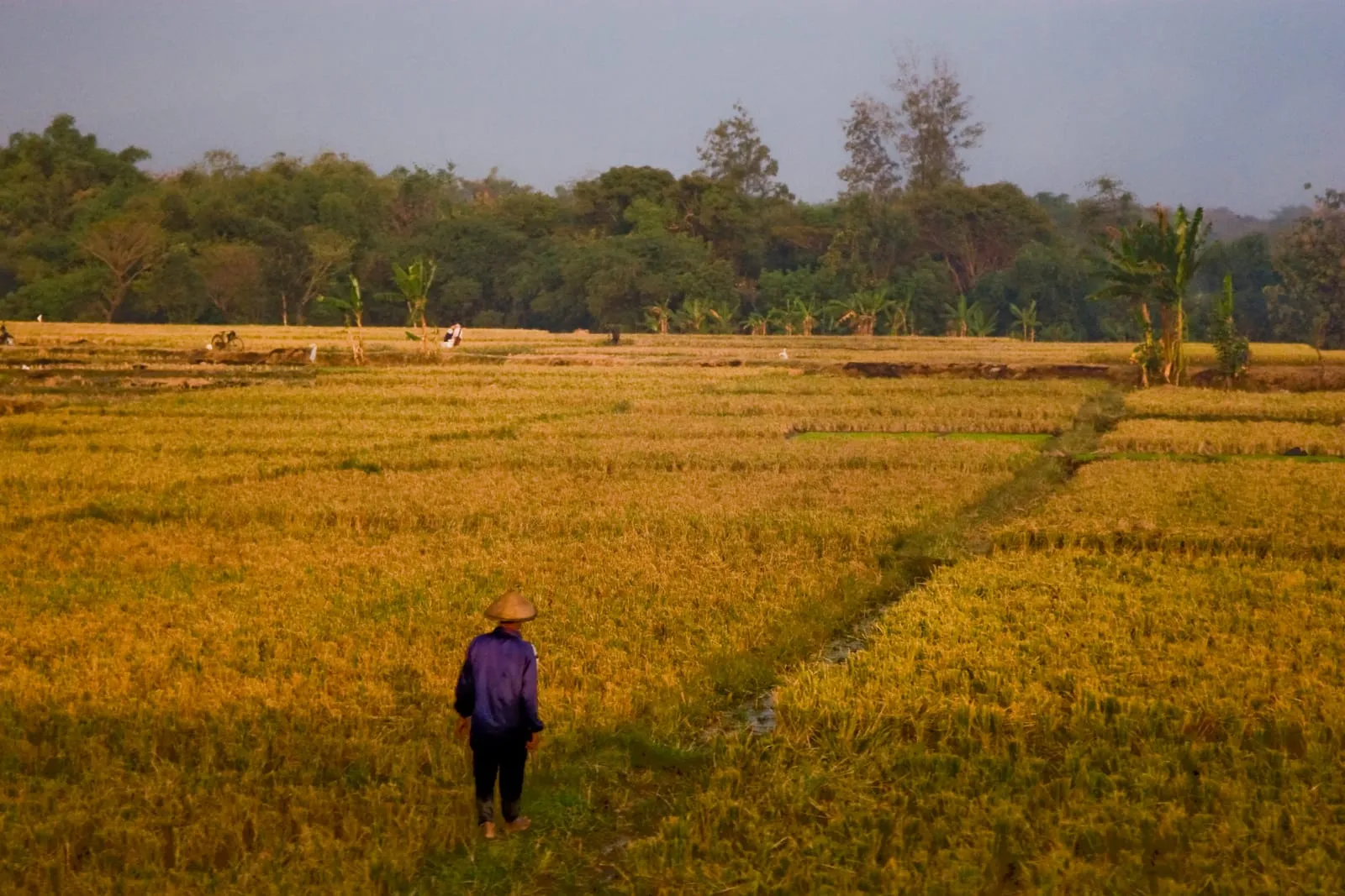 Indonesia