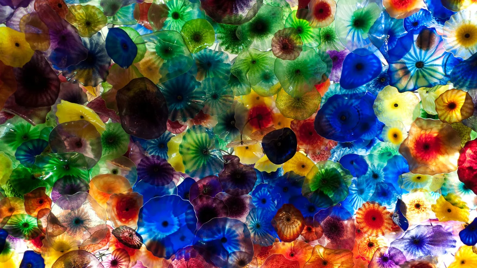 Colours