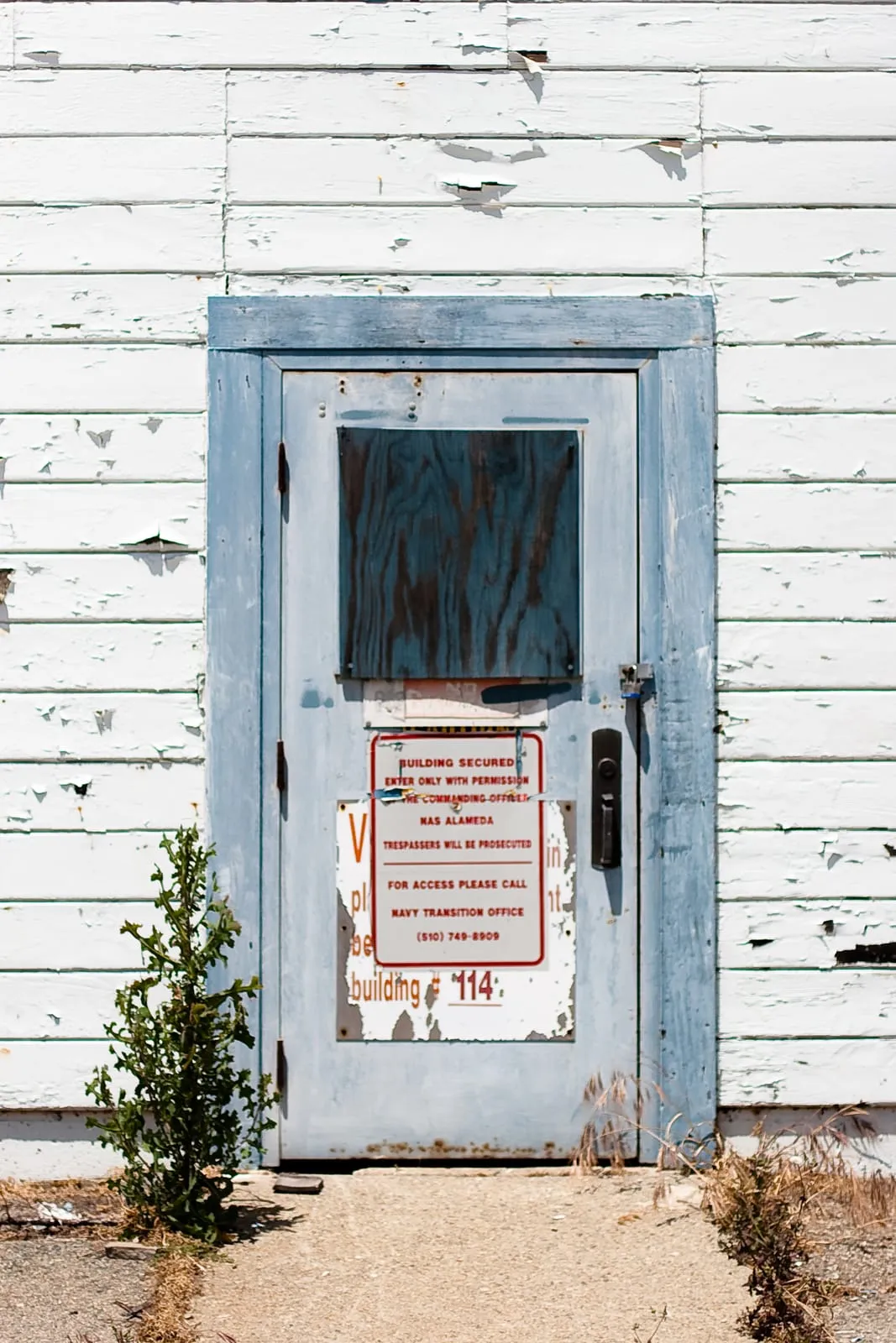 Door