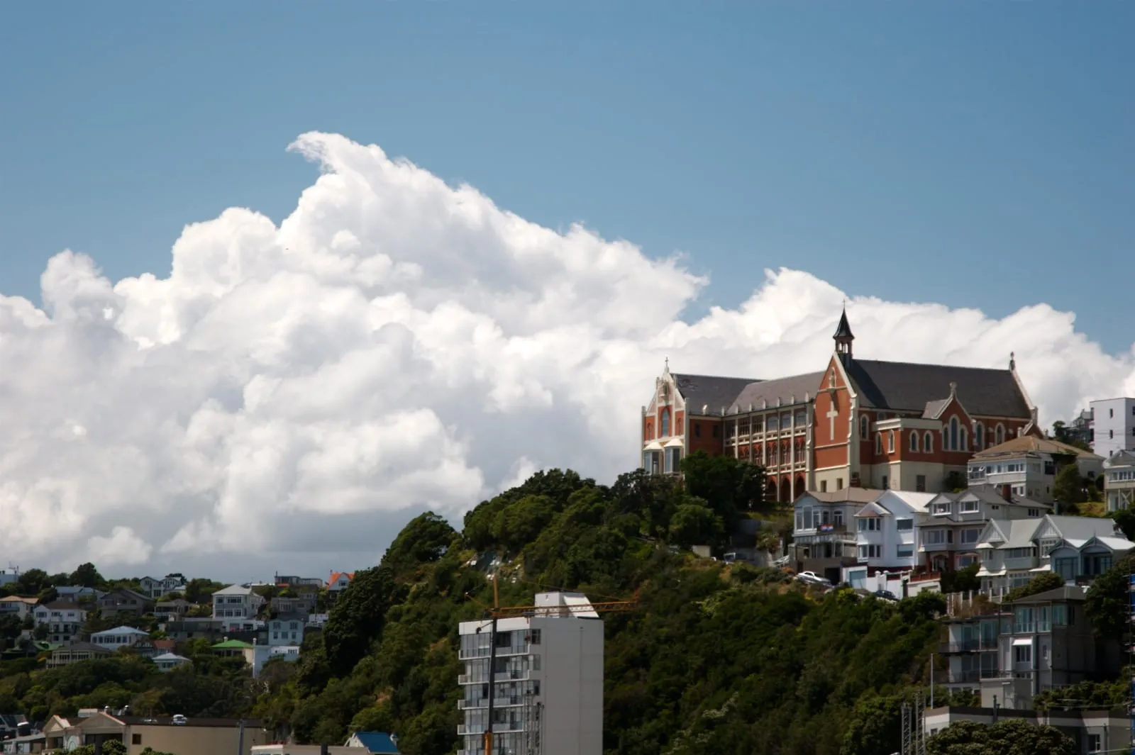 Mt Victoria, Wellington, New Zealand