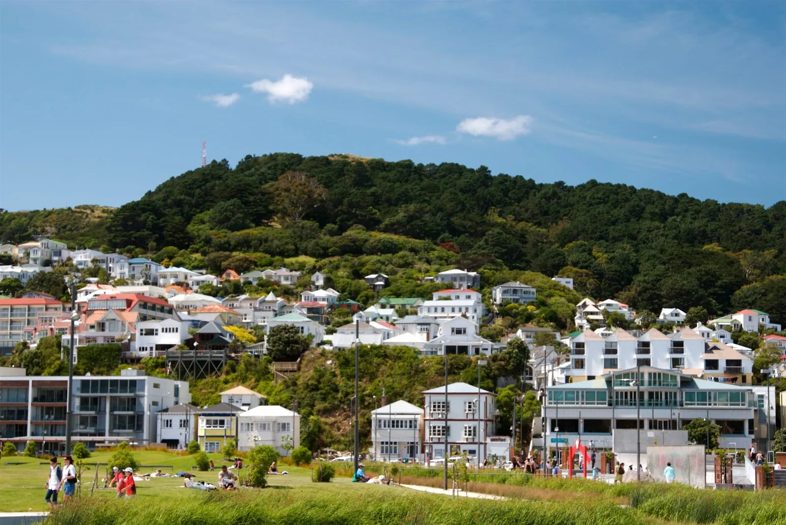 Mt Victoria, Wellington, New Zealand