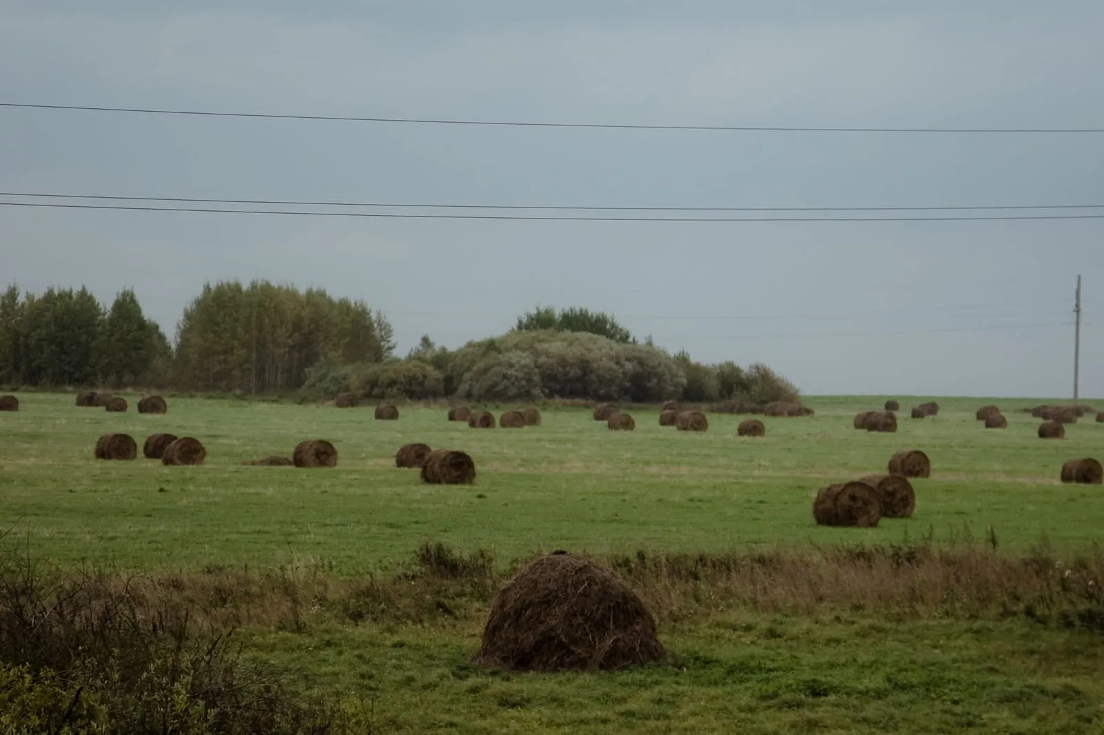 Trans-siberian Railway 2007