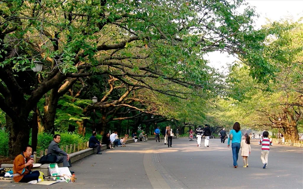 Tokyo Garden