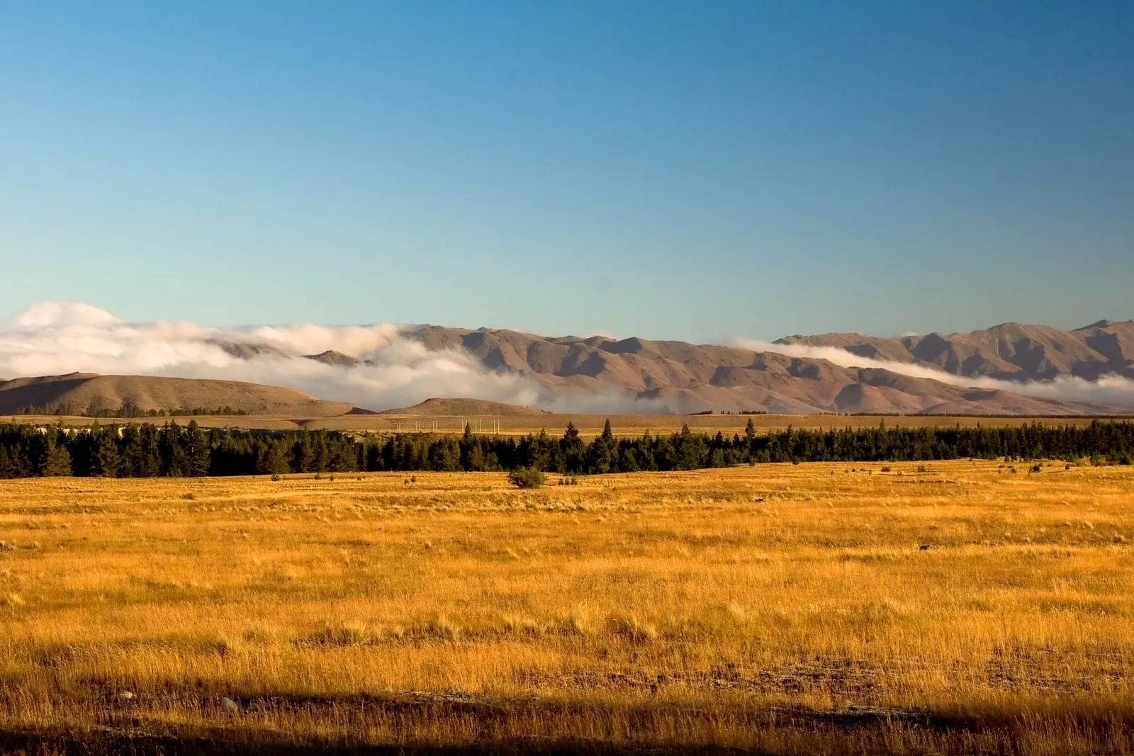 New Zealand
