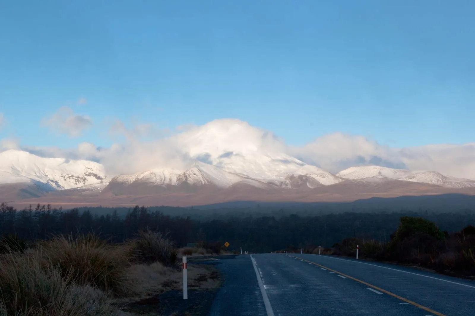 New Zealand 2011