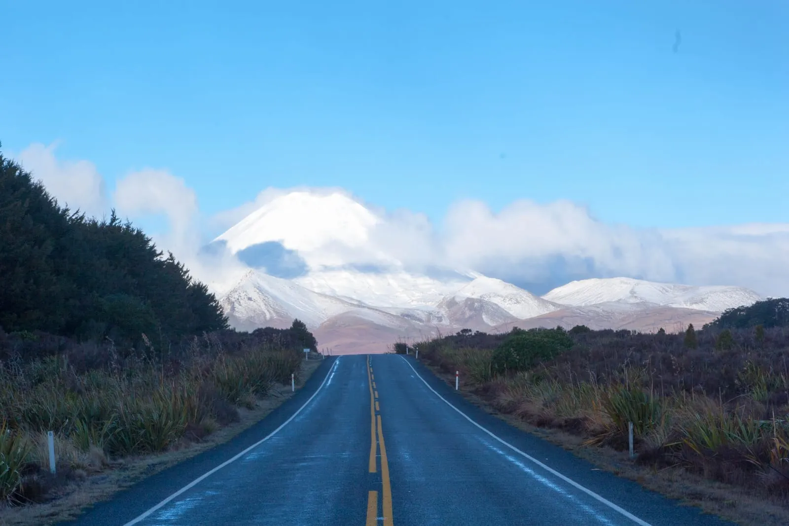 New Zealand 2011